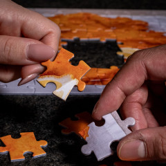 Figlmüller schnitzel puzzle 1